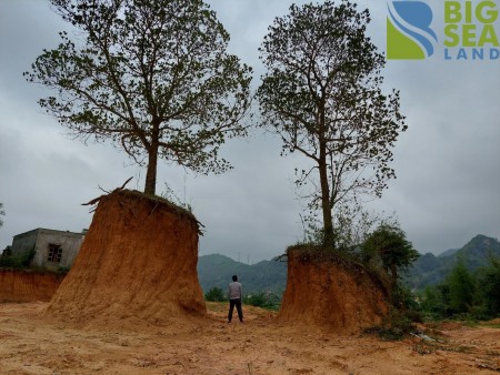 Cần bán lô đất diện tích sử dụng 25000m2 tại mộc Châu giá rẻ bất ngờ, pháp lí đầy đủ