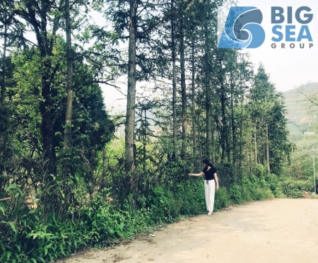Đất nền nghỉ dưỡng sapa giảm giá sau covit 19 liên hệ xem đất 0974311661, giá bao tốt
