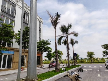 Đi đến slide 5