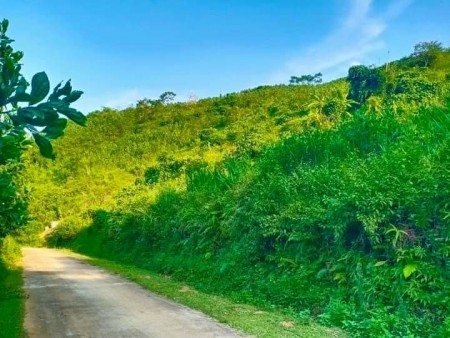 Bán 3091m full thổ cự tại Tú Sơn view thoáng lưng tựa núi giá 1.7 tỷ, liên hệ 0979302789