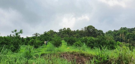 Đi đến slide 1
