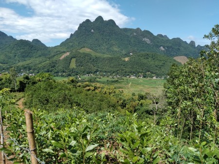 Đi đến slide 7