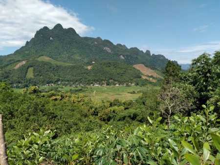 Đi đến slide 8