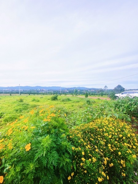 Đi đến slide 8