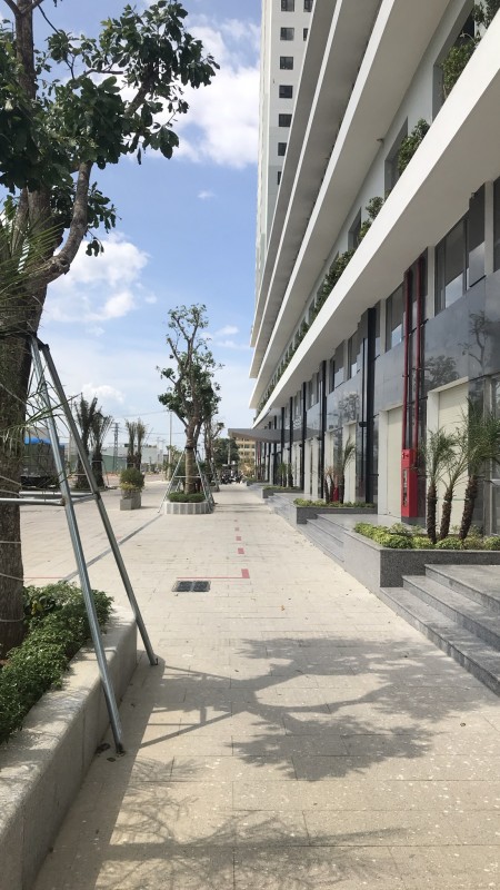 Mua căn hộ chung cư Ecolife Quy Nhơn thành phố Biển đẹp ở miền Trung, hỗ trợ vay 50%