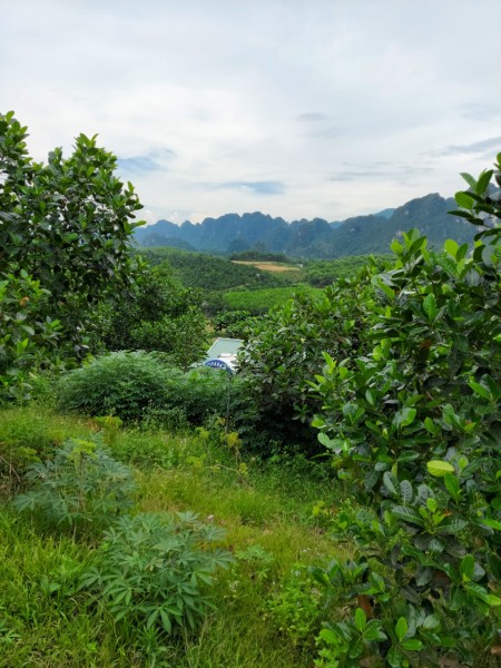 Đi đến slide 4