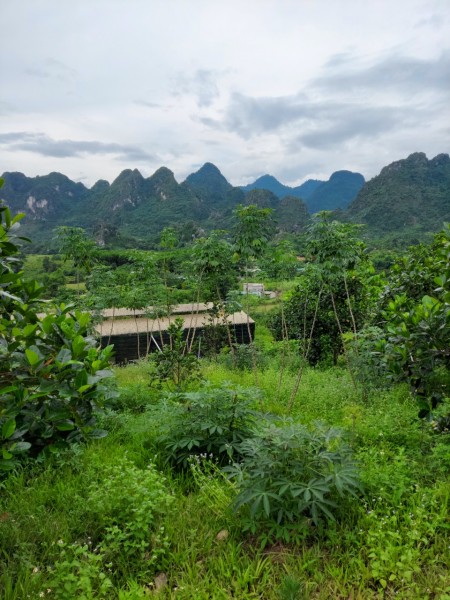 Đi đến slide 3