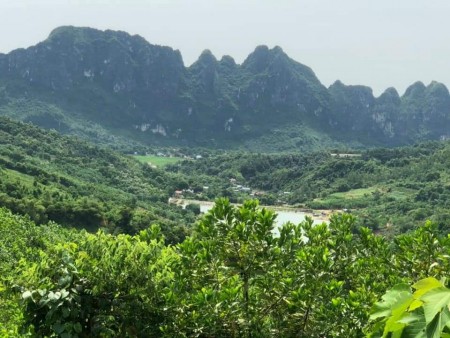 Đi đến slide 2
