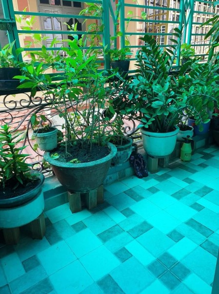 Bán nhà mới ở ngay Quang Trung, phường 10 Gò Vấp, 3 tầng, 4 phòng ngủ, dt 50m2, giá 3.9 tỷ