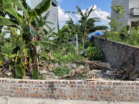 Bán gấp 73,6m2 tại thôn Cam, xã Cổ Bi, gần đường ô tô, khổ đẹp giá chỉ 30tr/m2.