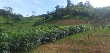 Đi đến slide 9