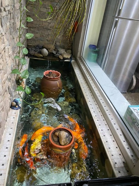 Bán nhà phố Hoàng Cầu trung tâm Đống Đa, nội thất đẳng cấp, giá 9.35 tỷ thương lượng