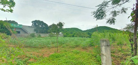 Đi đến slide 7