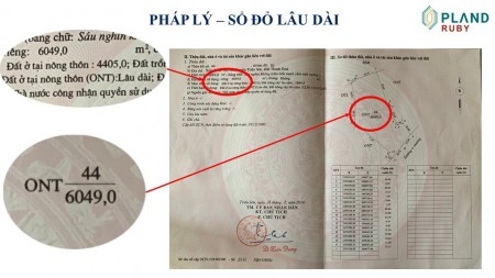 Đi đến slide 12