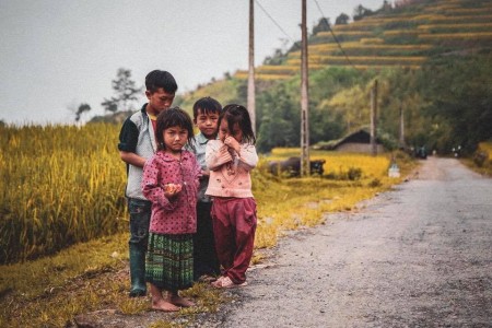 Đi đến slide 4