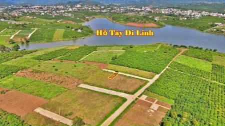 Đi đến slide 7