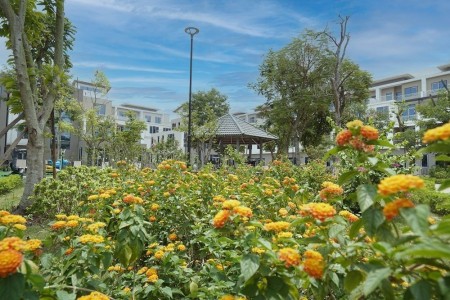 Đi đến slide 12