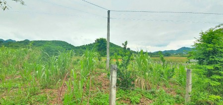 Đi đến slide 8