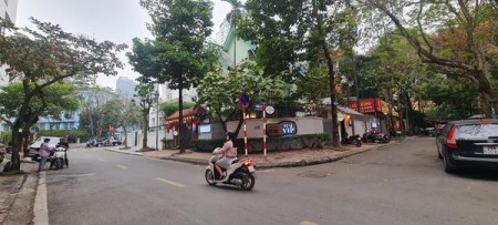 Bán biệt thự khu giao lưu đẳng cấp hoàng gia 3 mặt phố DT 415m2 giá 68 tỷ.