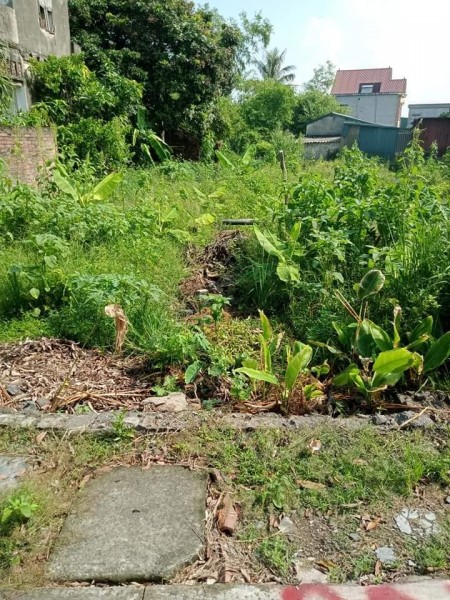 Cần bán đất diện tích sử dụng 255m2 mặt 9m dài 26m tại Phú Điền Nam Sách, Hải Dương