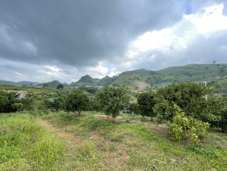Đất Mộc châu, phù hợp làm Homestay, View đẹp, nền bằng phẳng, ô tô vào tận đất