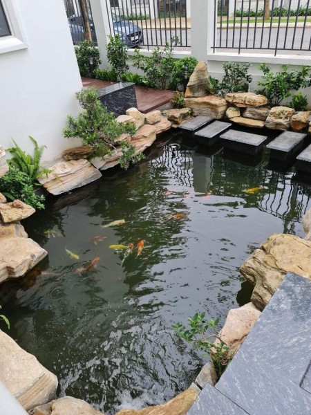 Đi đến slide 6