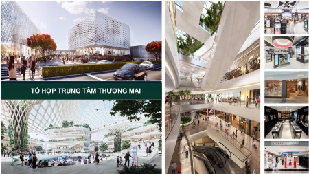 Đi đến slide 7
