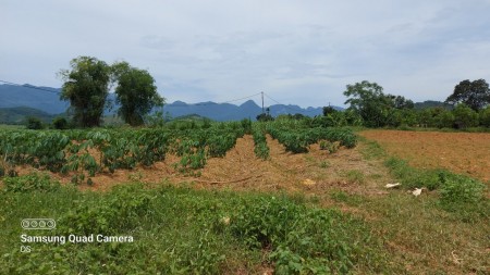 Chủ kẹt tiền cần bán gấp mảnh đất có diện tích 5100m2 có 400m2 thổ cư giá 850 triệu
