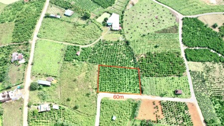 Bán vườn ngay xã Lộc Châu thành phố Bảo Lộc, giá bán 150 triệu/m2, pháp lí đầy đủ