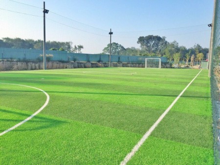 Vị trí cực kỳ hót và tiềm năng với phân khúc dưới 1 tỷ, diện tích đa dạng.