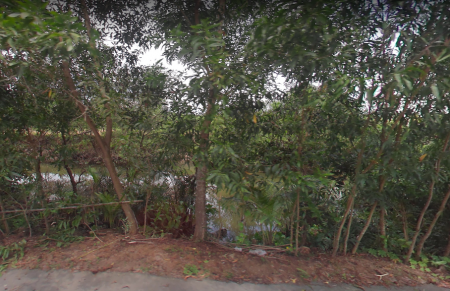 4545m2 đất mặt tiền đường số 1 phường Long Phước tp Thủ Đức LH 0907016378 Mr.Thông