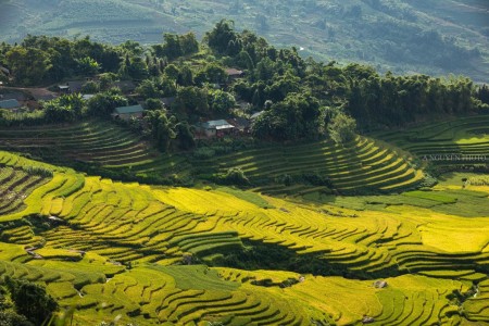 Đi đến slide 3