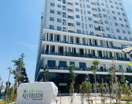Đi đến slide 5