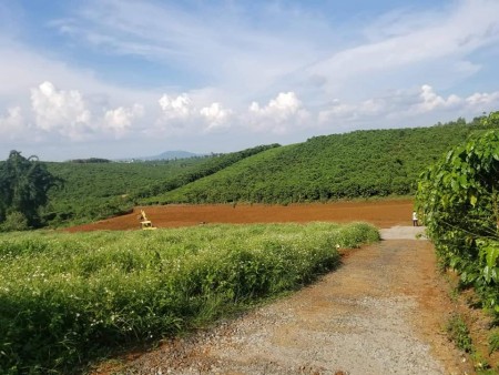 Bán Lô Đât 320m2, Nam Ban, 650 Triệu, Đường Betong View Đồi.