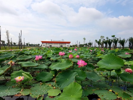 Đi đến slide 4
