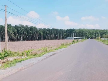 Bán đất giá rẻ mùa covid. Nằm ngay trục chính dt 741, liên hệ xem đất 0879164670