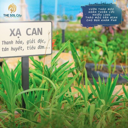 Đi đến slide 6