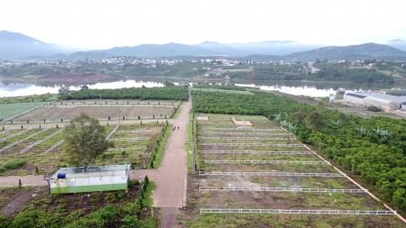 Đi đến slide 8