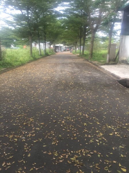 Đi đến slide 6