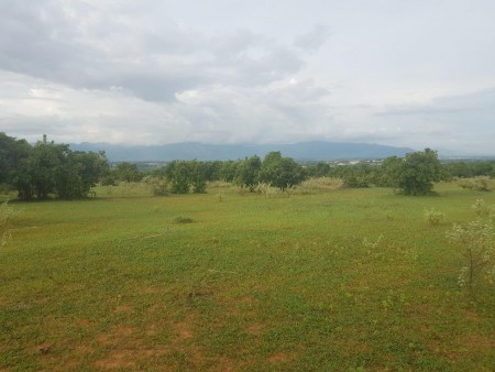 Bán 13,748m2 đất nông nghiệp bình tân 95k/m2 gần liên huyện ra sân bay phan thiết Lh 0938677909