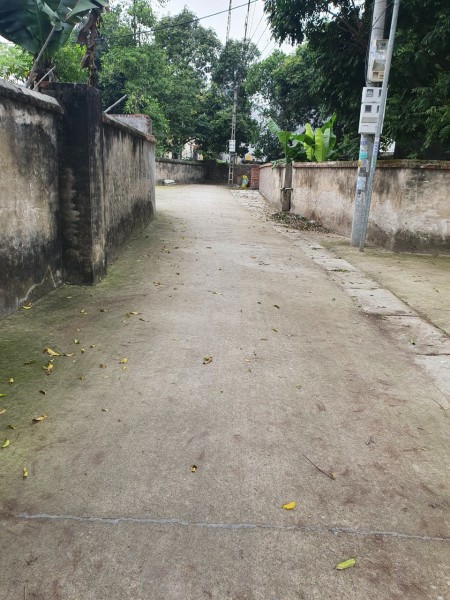 Đất thổ cư thôn Chùa Minh Hải Văn Lâm cách chợ 100m liên hệ 0982923665, full thổ cư