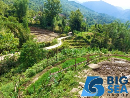 Bán đất đẹp Lao Chải, Y Tý-SaPa2 giá rẻ, lợi nhuận tốt, thanh khoản nhanh, lh 0963359886