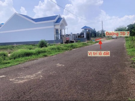 Cần bán Đất đường Tập Đoàn 7, Phường Hắc Dịch, Diện tích 200m², Giá 1.3 Tỷ