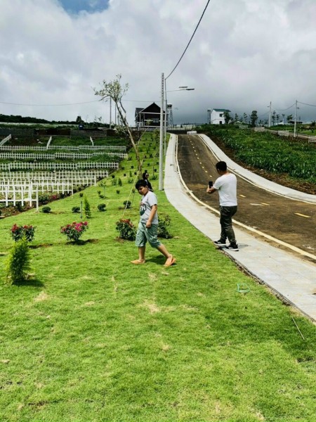 Cần thanh lý gấp lô đất ở Bảo Lộc, giá bán 650 triệu, diện tích 200m2, đất thổ cư