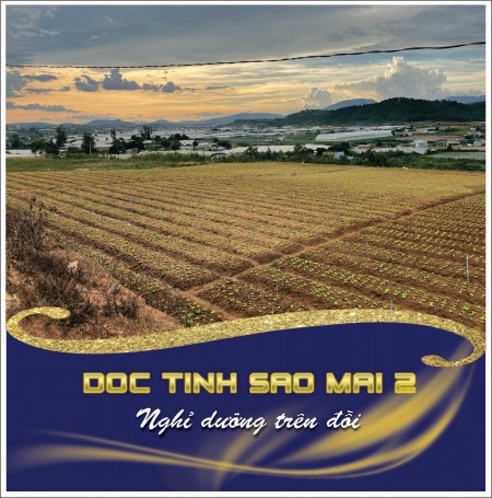 Chỉ với 500 triệu bạn đã sở hữu ngay cho mình lô đất với diện tích hơn 500m2, sổ riêng