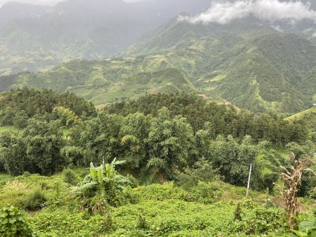 Đi đến slide 2