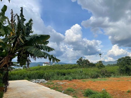 Bán lô đất view đồi 220 m2 Giá 580 Triệu Đông Thanh, Lâm Hà, Cách Đà Lạt 21km
