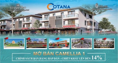 Đi đến slide 8