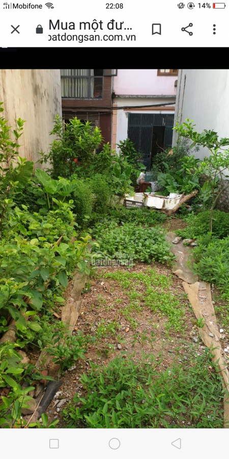 Bán đất Thúy Lĩnh,Lĩnh Nam, Hoàng Mai, phân lô đẹp, thoáng trước sau, giá nhỉnh 2 tỷ.
