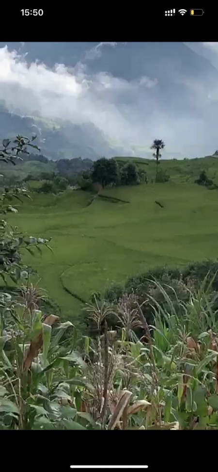 Đi đến slide 6